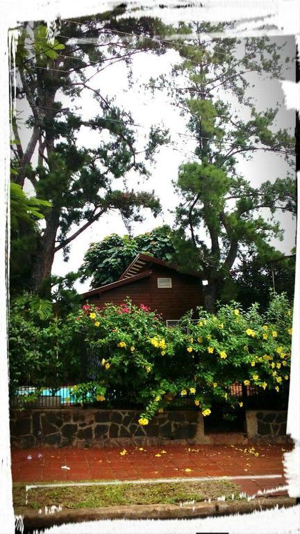 Tucan Hostel プエルト・イグアス エクステリア 写真